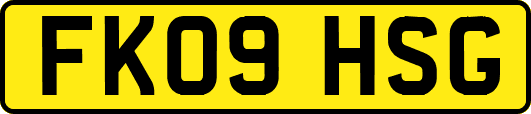 FK09HSG