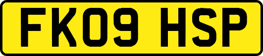 FK09HSP