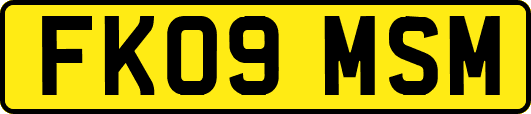 FK09MSM