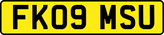 FK09MSU