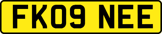 FK09NEE