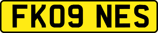 FK09NES