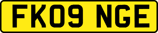 FK09NGE