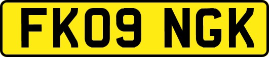 FK09NGK