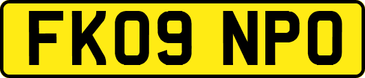 FK09NPO