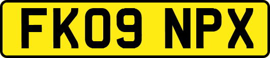 FK09NPX