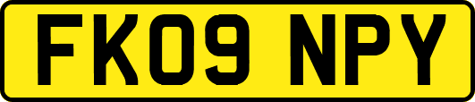 FK09NPY