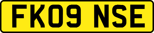 FK09NSE