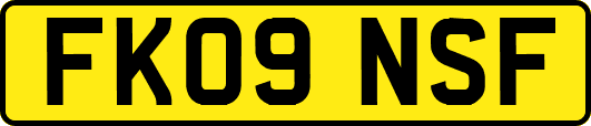 FK09NSF
