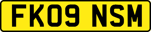 FK09NSM