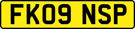 FK09NSP