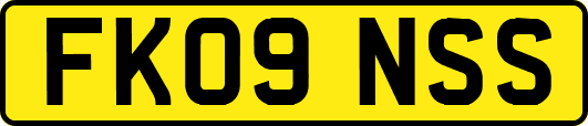 FK09NSS