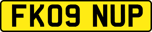 FK09NUP