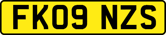 FK09NZS