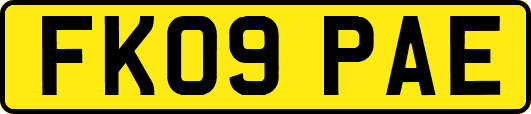 FK09PAE
