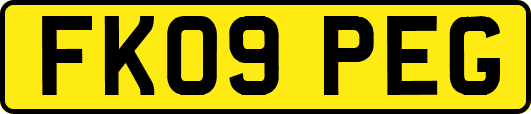 FK09PEG