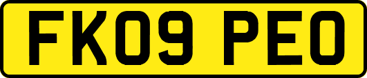 FK09PEO