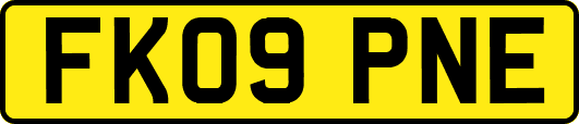 FK09PNE