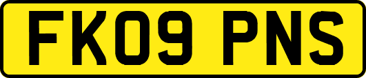 FK09PNS