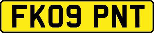 FK09PNT