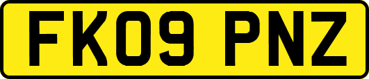FK09PNZ