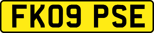 FK09PSE