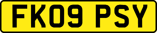 FK09PSY