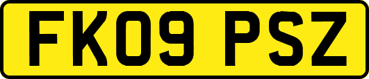 FK09PSZ