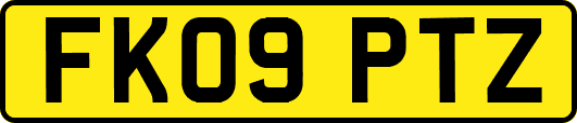FK09PTZ