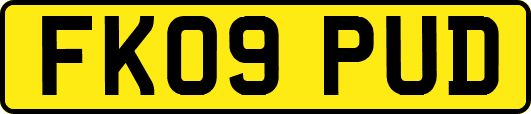 FK09PUD