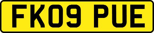 FK09PUE