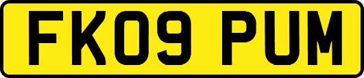 FK09PUM