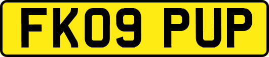 FK09PUP
