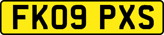 FK09PXS