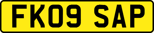 FK09SAP