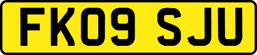 FK09SJU