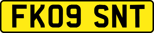 FK09SNT