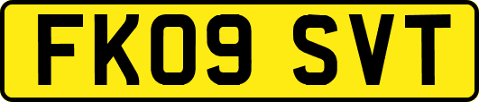 FK09SVT