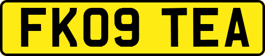 FK09TEA