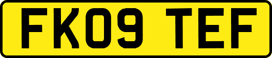 FK09TEF