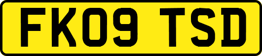 FK09TSD