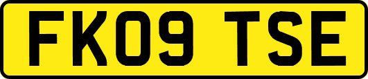 FK09TSE