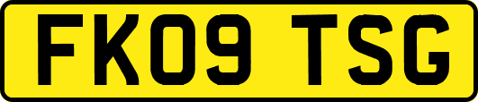 FK09TSG