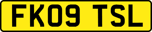 FK09TSL