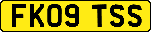 FK09TSS