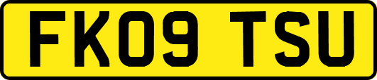 FK09TSU