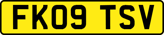 FK09TSV