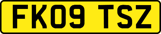 FK09TSZ