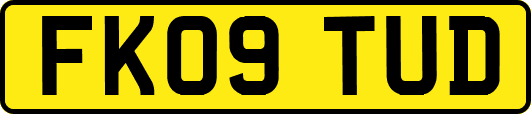 FK09TUD