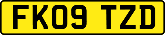 FK09TZD